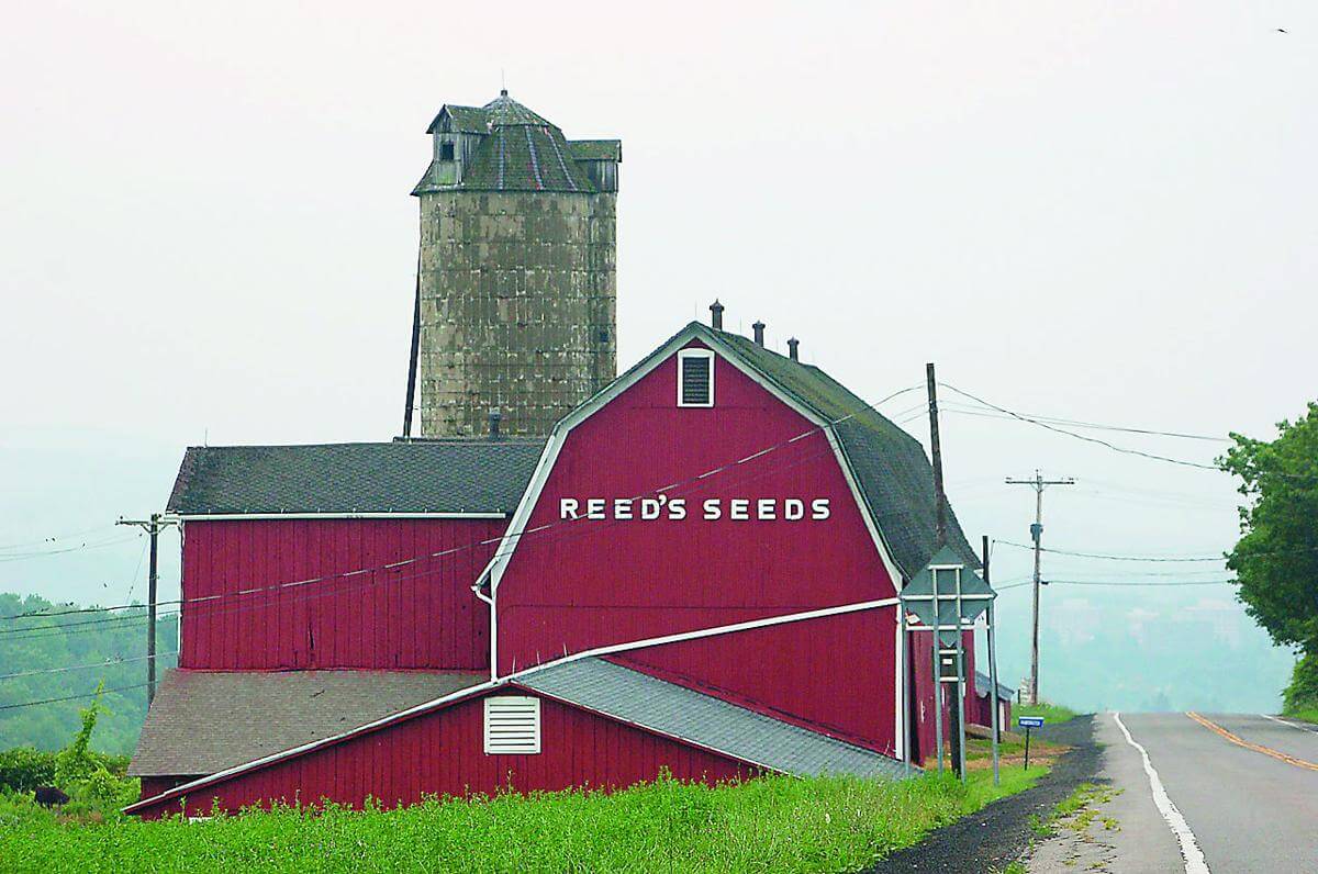 Reeds Seeds barn