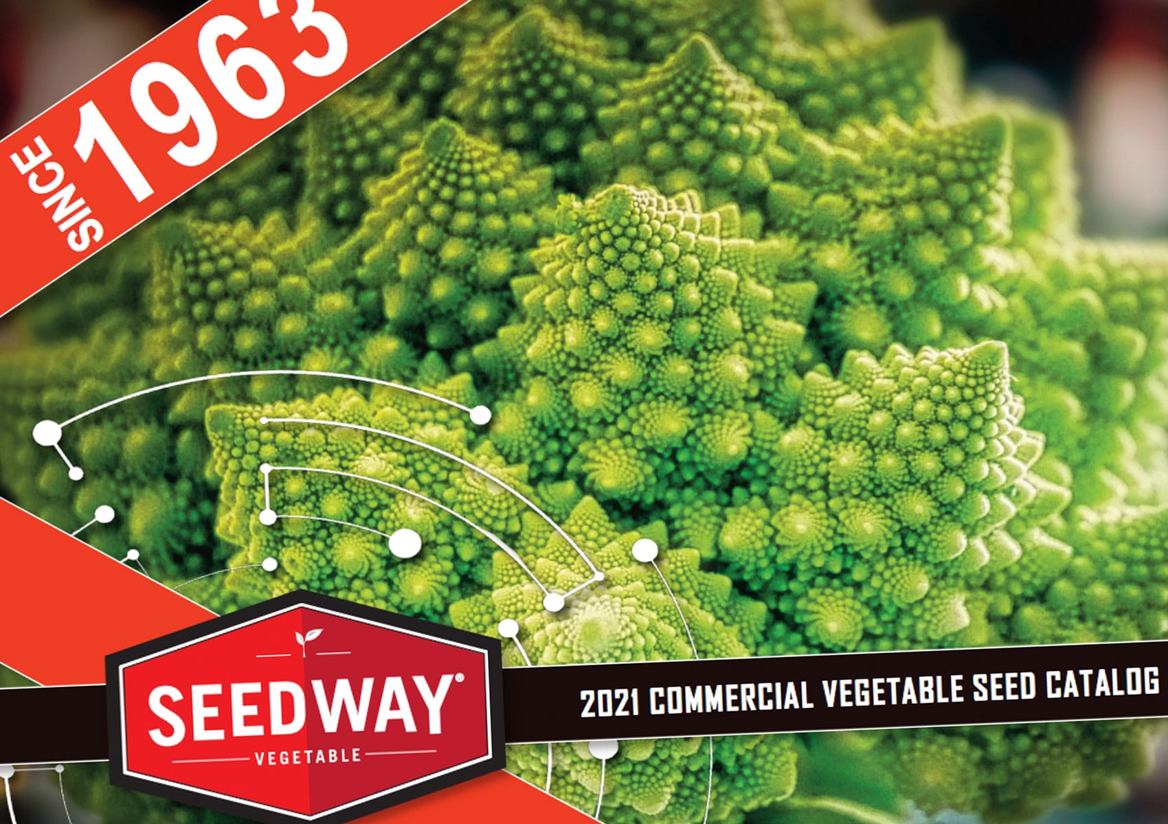 The Seedway 2021 commercial Vegetable Seed product guide