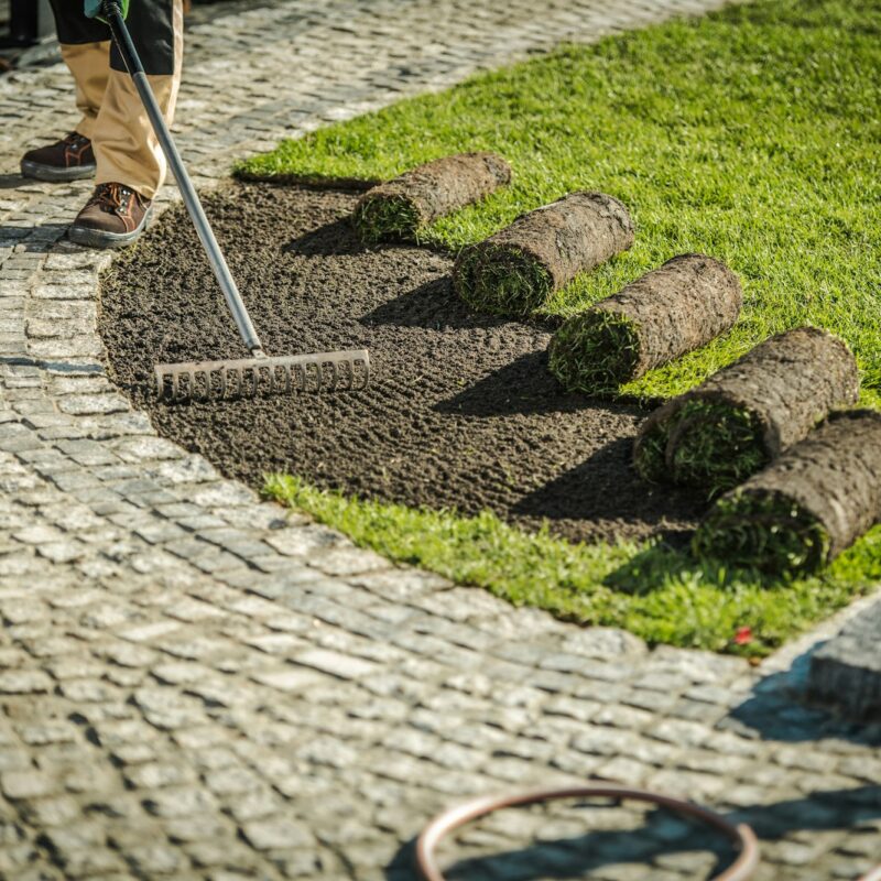 Garden Grass Turfs Installation