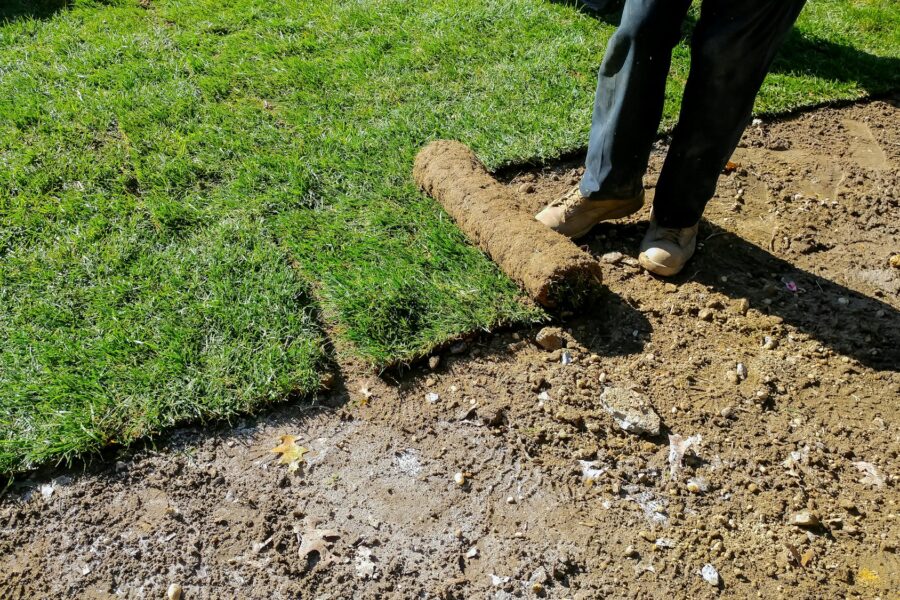 Gardener applying turf of roll green lawn grass in the backyard